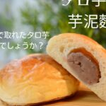 【大阪】Papantreeパパンツリー  台灣麵包店