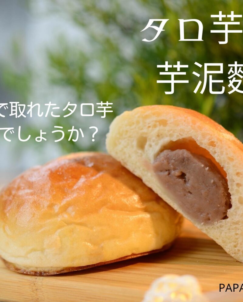 【大阪】Papantreeパパンツリー  台灣麵包店